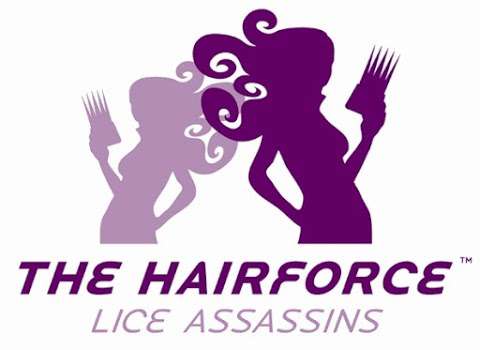 The Hairforce - Lice Assassins photo